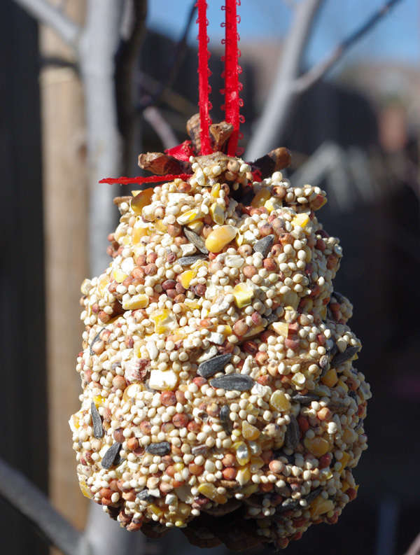 crafts for preschoolers pine cone bird feeder
