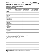 Structure and Function of Cells: Vocabulary