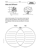 Math in Science: Alike and Different
