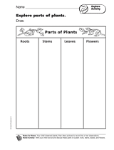 Explore Activity: Explore Parts of Plants
