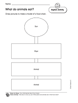 What Do Animals Eat?