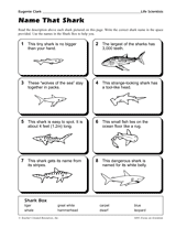 Name That Shark