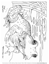 Eye Guess Coloring Activity 1