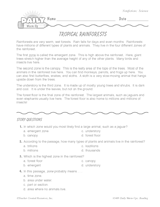Science Reading Warm-Up: Rainforest Ecology