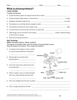 What Is Photosynthesis? (Fill in the Blanks)