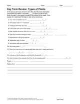 Science Key Term Review: Types of Plants