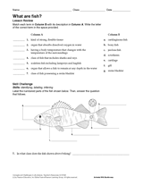 What Are Fish?