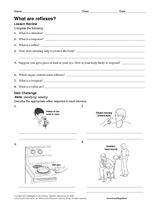 What Are Reflexes?