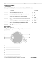 How Do You See? (Labeling and Matching)