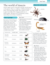 The World of Insects